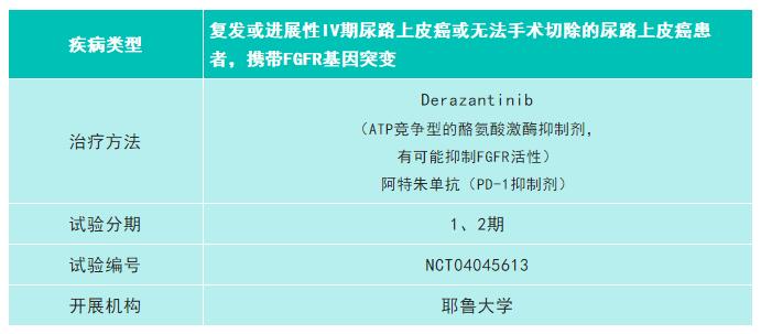 尿路上皮癌.jpg 尿路上皮癌.jpg
