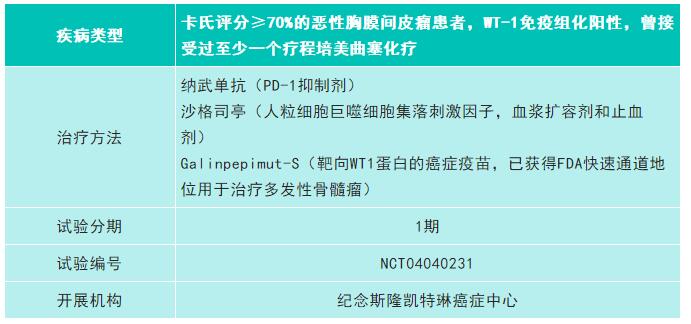 恶性胸膜间皮瘤.jpg 恶性胸膜间皮瘤.jpg