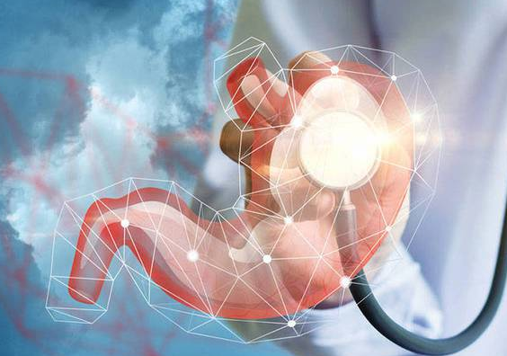 1636621552(1).jpg 1636621552(1).jpg