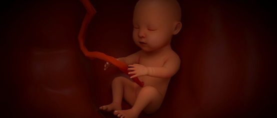 微信图片_20200720141748.png 微信图片_20200720141748.png