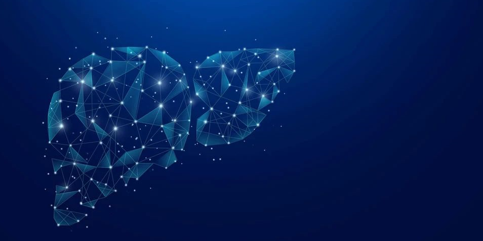 肝癌出国就医及国外医院预约流程