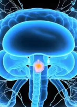 新研究显示:晚期膀胱癌患者化疗或可从6次减少到3次,减毒而不降疗效!