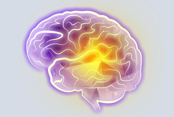 开云体育网址登录网页
：脑瘤出国就医注意事项