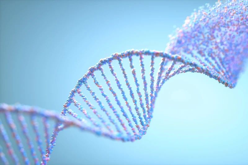癌细胞杀不死？科学家给免疫细胞装上“高科技扫描仪”，68%的患者肿瘤全消！