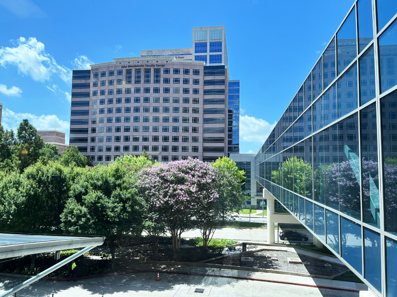 胰腺癌晚期被判“活不过半年”,他却在MD安德森逆转命运,现已看不到肿瘤!