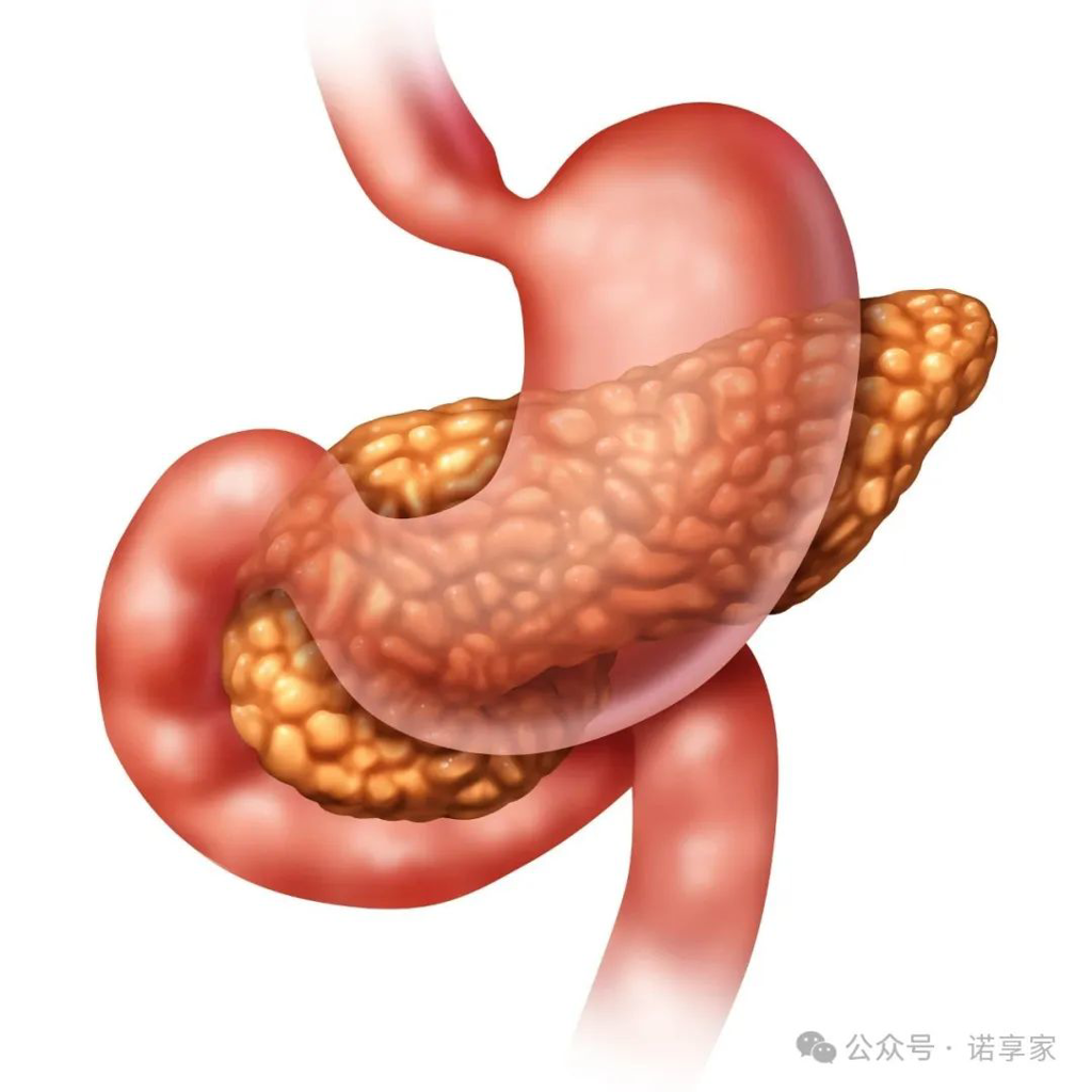 日本胃癌筛查 日本胃癌筛查