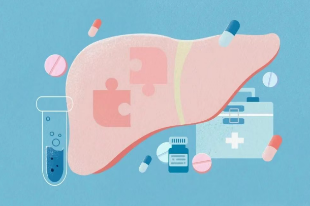肝脏是沉默的器官:如何呵护它?日本肝脏检查攻略