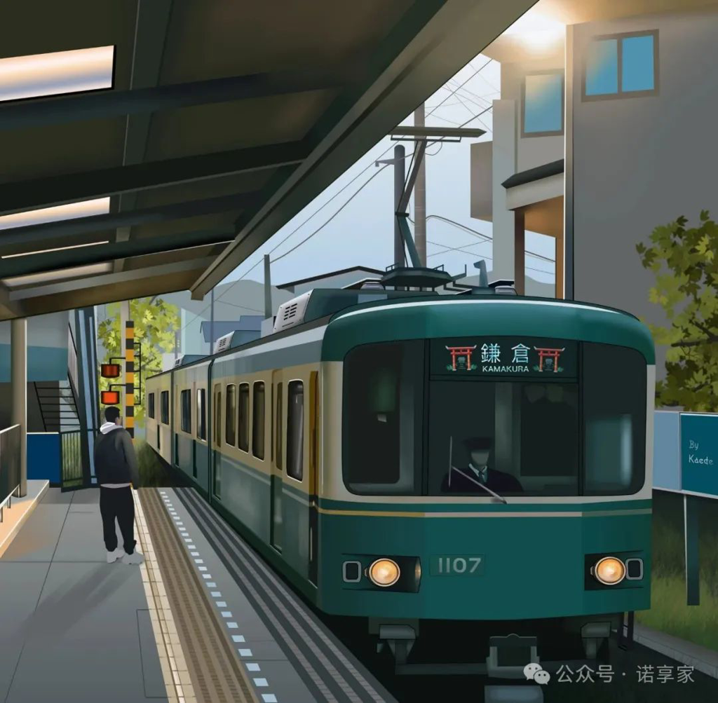 日本体检