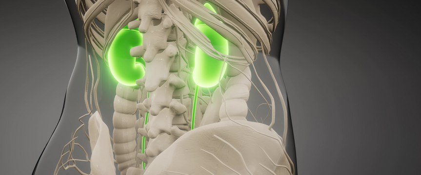 验一杯尿就能提前知晓是否复发?新方法验肾癌准确率达90%!