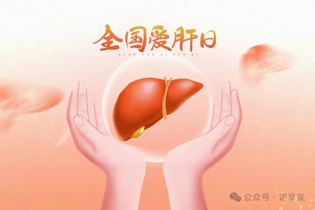 全国爱肝日 全国爱肝日